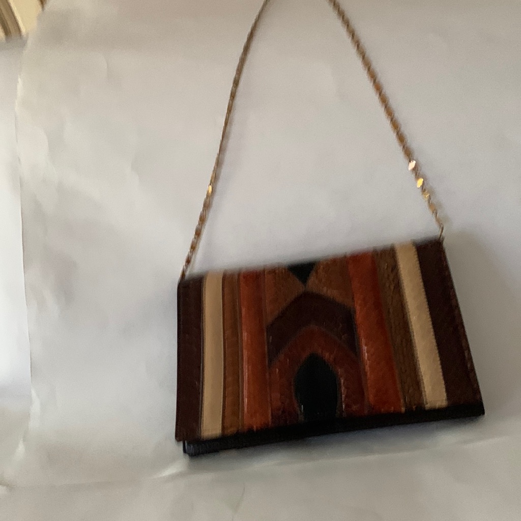 Multi Brown Python Like Segments Clutch With Chain